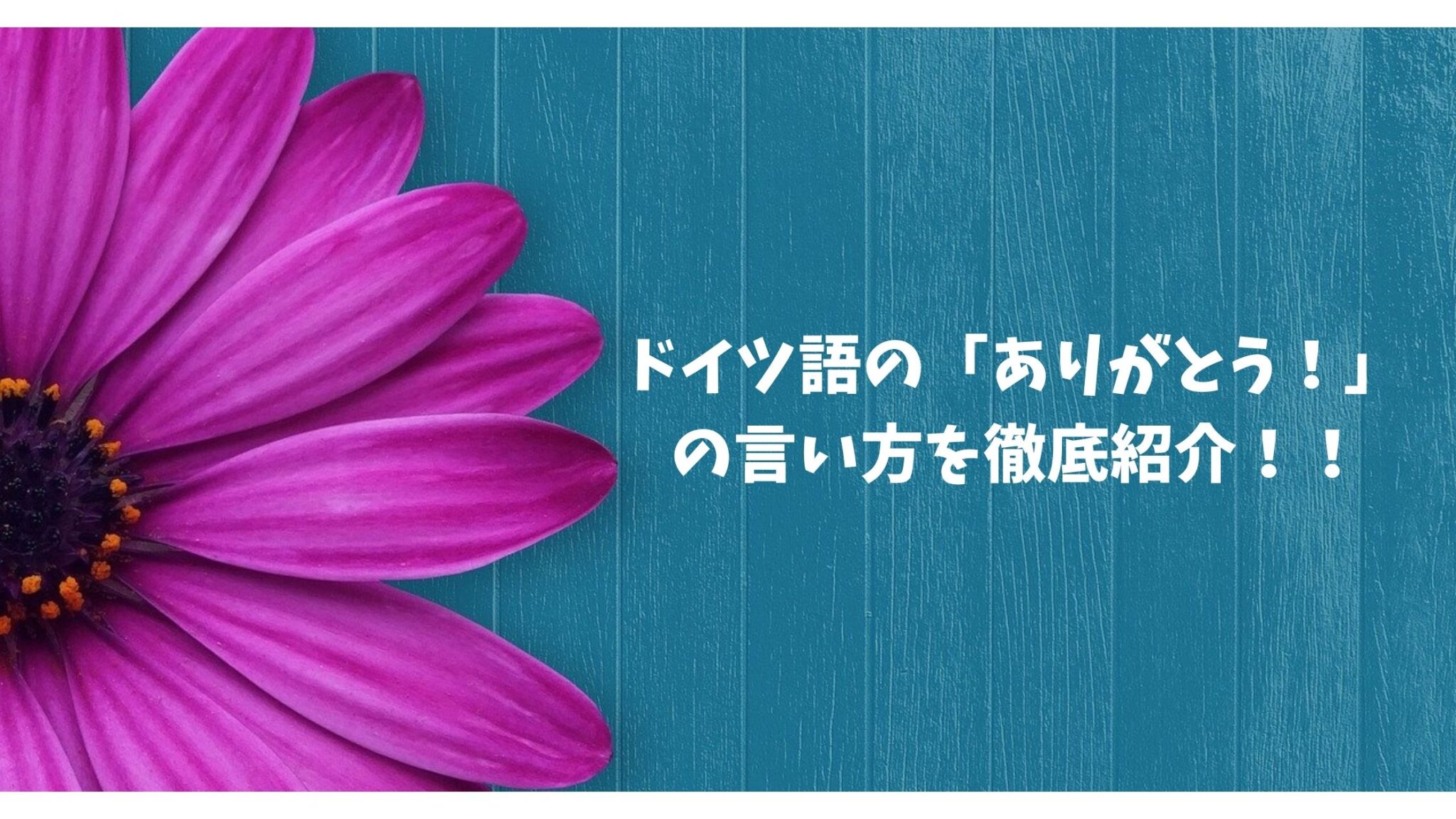 ドイツ語の「ありがとう」の言い方を徹底紹介! かさタビ。 ドイツ語の「ありがとう」の言い方を徹底紹介! かさタビ。